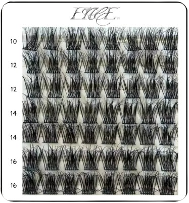 ENCE lashes
